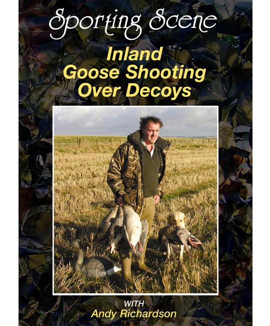 Inland Goose Shooting over Decoys
